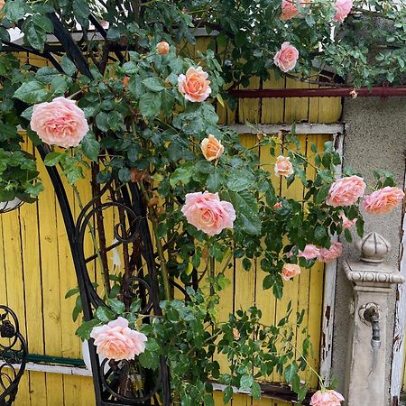 Luxurious Villa With Lush Garden And Huge Terrace Near Herastrau Park Bukares Bagian luar foto